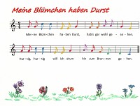 Meine Blümchen haben Durst