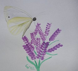 Lavendel mit Schmetterling